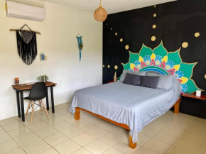 JunglaBacalar/ Casa Colibrí
